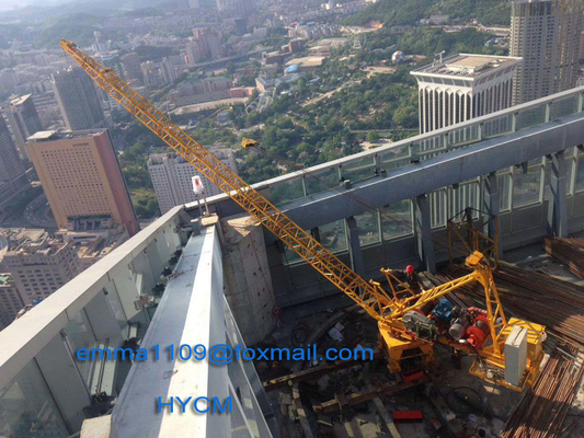 الصين 3000kg Load Mini Derrick Crane Luffing Tower for Internal Climbing Tower Crane المزود