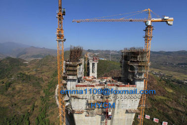 الصين Good TC7032 12T Topkit Tower Crane 70m Boom 3m Potain Mast Section المزود